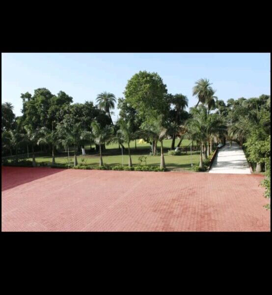 Lakeview Marriage Garden