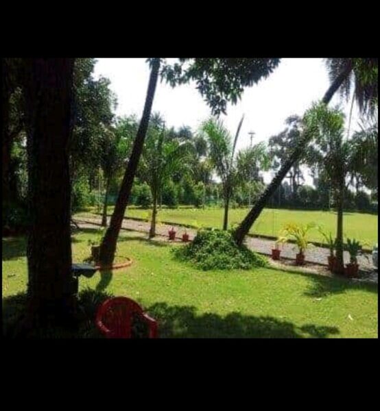 Lakeview Marriage Garden